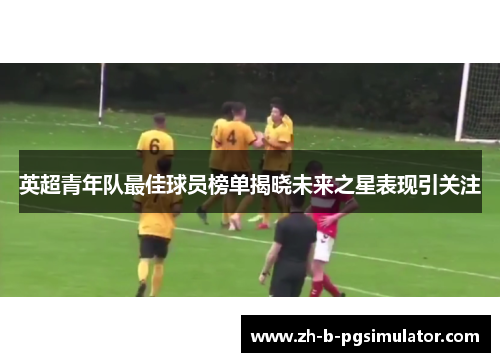 英超青年队最佳球员榜单揭晓未来之星表现引关注 英超青年队最佳球员榜单揭晓未来之星表现引关注